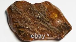 Natural Baltic Amber Raw Amber Stone Genuine Baltic Amber Stone amber piece