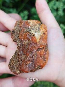 Natural Baltic Amber Raw Stone 15 grams