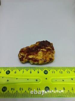 Natural Baltic Amber Raw Stone 15gr Tiger