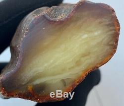 Natural Baltic Amber Raw Stone 208gr. Tiger White Egg Yolk Kahraman Bernstein