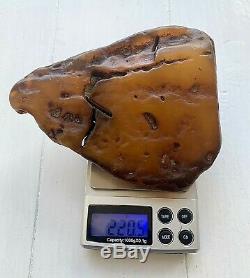 Natural Baltic Amber Raw Stone 220gr. Butterscotch Tiger Kahraman Bernstein
