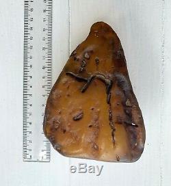 Natural Baltic Amber Raw Stone 220gr. Butterscotch Tiger Kahraman Bernstein