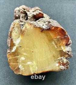 Natural Baltic Amber Raw Stone 230 g. Poland Tiger Style Yolk Kahrab Bernstein