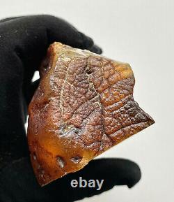 Natural Baltic Amber Raw Stone 269g. Original Poland Kahrab Bernstein Kehribar