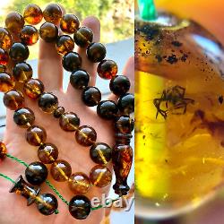Natural Baltic Amber SPIDER INCLUSION INSECT 95g Islamic Prayer Rosary 33 Beads