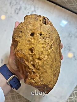 Natural Baltic Amber Stone 1078 grams Raw WHITE TIGER Landscape