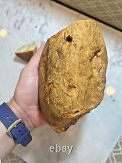 Natural Baltic Amber Stone 1078 grams Raw WHITE TIGER Landscape