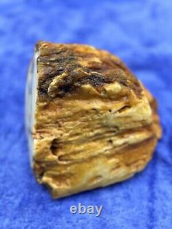 Natural Baltic Amber Stone 1170 grams Raw WHITE TIGER Landscape