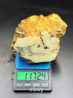Natural Baltic Amber Stone 1170 grams Raw WHITE TIGER Landscape