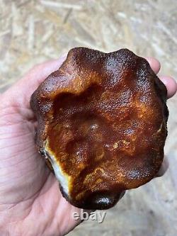 Natural Baltic Amber Stone 200 grams Raw WHITE TIGER Landscape