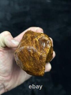 Natural Baltic Amber Stone 318grams Raw WHITE TIGER Landscape