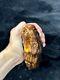 Natural Baltic Amber Stone 453 grams Raw WHITE TIGER Landscape