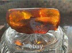 Natural Baltic Amber Stone 49gr. Cognac/Transparent /Inclusions Natural Shape