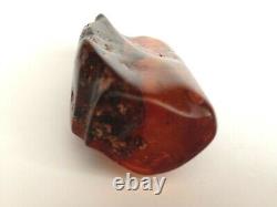 Natural Baltic Amber Stone 49gr. Cognac/Transparent /Inclusions Natural Shape