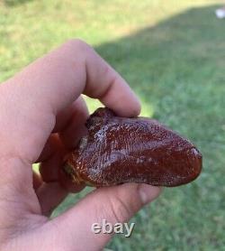 Natural Baltic Amber Stone 50 Grams