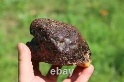 Natural Baltic Amber Stone 620 grams Raw