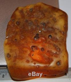 Natural Baltic Amber Stone. Egg Yolk/Butterscotch/Brindled color. 66,5 gr (a448)
