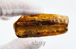Natural Baltic Amber Stone Genuine Amber Piece amber raw stone