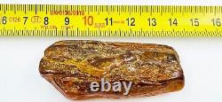 Natural Baltic Amber Stone Genuine Amber Piece amber raw stone