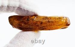Natural Baltic Amber Stone Genuine Amber Piece gemstone amber stone