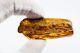 Natural Baltic Amber Stone Genuine Raw Amber gemstone amber raw stone