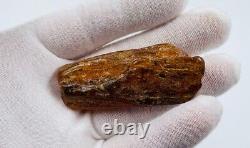 Natural Baltic Amber Stone Genuine Raw Amber gemstone amber raw stone