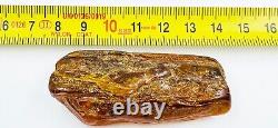 Natural Baltic Amber Stone Genuine Raw Amber gemstone amber raw stone