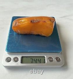 Natural Baltic Amber Stone Raw 74 grams