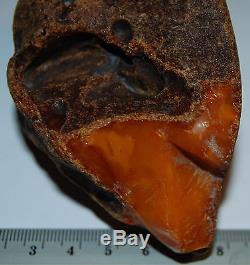 Natural Baltic Amber Stone. Red/Butterscotch/Brindled color. 123 gr (a434)