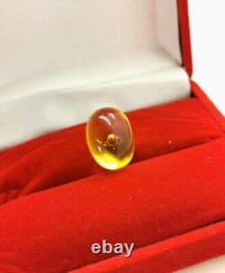 Natural Baltic Amber Stone Water Buble Inside Mowing 40 Milions Year