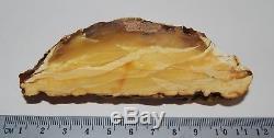 Natural Baltic Amber Stone. White/Egg Yolk/Brindled color. 56,5 gr (a951)