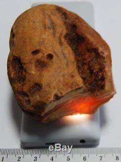 Natural Baltic Amber Stone. White/Egg Yolk/Brindled color. 94 g (a902)