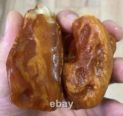 Natural Baltic Amber Stones 204 grams Raw WHITE TIGERS Landscape