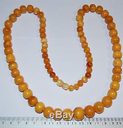Natural Baltic Amber. Vintage Necklace. EggYolk/Butterscotch. 59 g, 70 cm (A004)