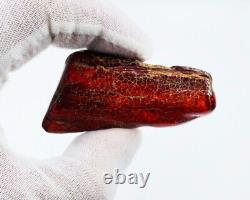 Natural Baltic Amber gemstone Genuine Raw Amber Piece amber stones amber