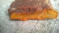 Natural Baltic Butterscotch Amber Stone 278 Grams No Cracks Solid as Rock