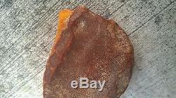 Natural Baltic Butterscotch Amber Stone 278 Grams No Cracks Solid as Rock