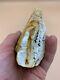 Natural Baltic Tiger Style Amber Stone 216g