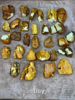 Natural Baltic Tiger Style Amber Stone 3100g