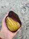 Natural Baltic Tiger Style Amber Stone 794g