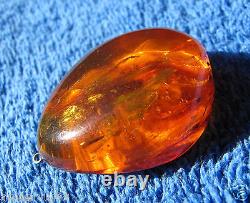 Natural Baltic amber 10 g fossil insect marine big beetle inclusion pendant gems