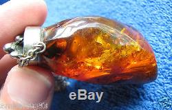 Natural Baltic amber 39 gr BIG pendant charm fossil seaweed flower inclusion