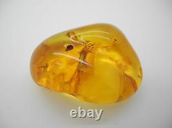 Natural Baltic amber stone
