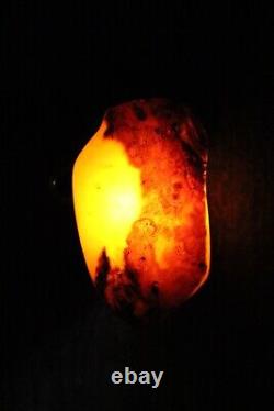 Natural Baltic amber stone 73 grams