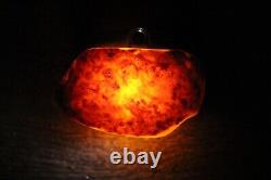 Natural Baltic amber stone 73 grams