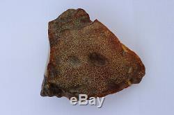 Natural Baltic amber stone w 316.7 grams