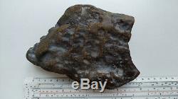 Natural Baltic amber stone w 503 grams