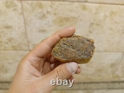 Natural Baltic amber stone w 67 grams