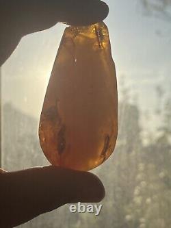 Natural Big Baltic Amber Stone, Pendant 36 grams