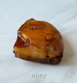 Natural Big Baltic Amber Stone Raw 70 grams. Egg yolk